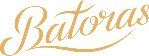 logo 01